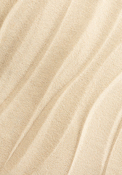 Leistung Sandreinigung